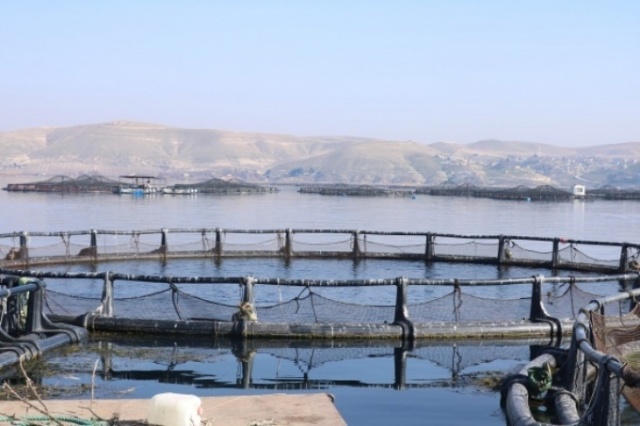 Dünyanın en pahalı yiyeceği 6