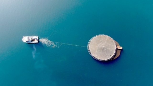 Dünyanın en pahalı yiyeceği 9