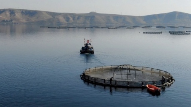 Dünyanın en pahalı yiyeceği 7