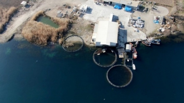 Dünyanın en pahalı yiyeceği 8