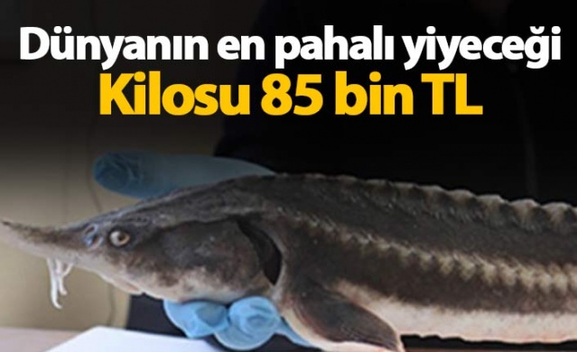 Dünyanın en pahalı yiyeceği 1