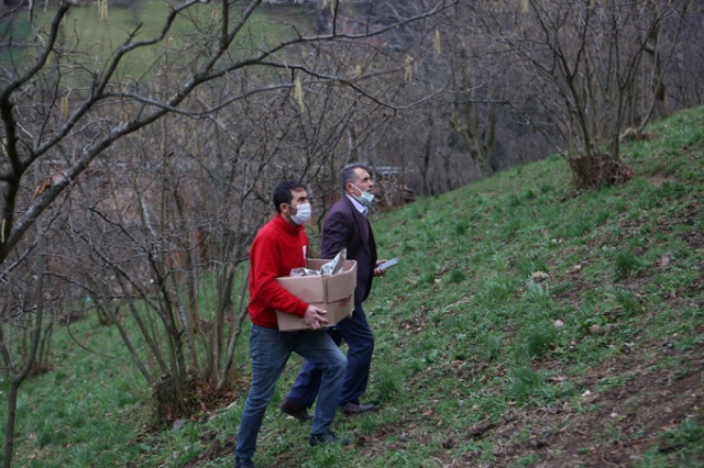 Araklı'da 7 ev yanmıştı, bölgede son durum 21