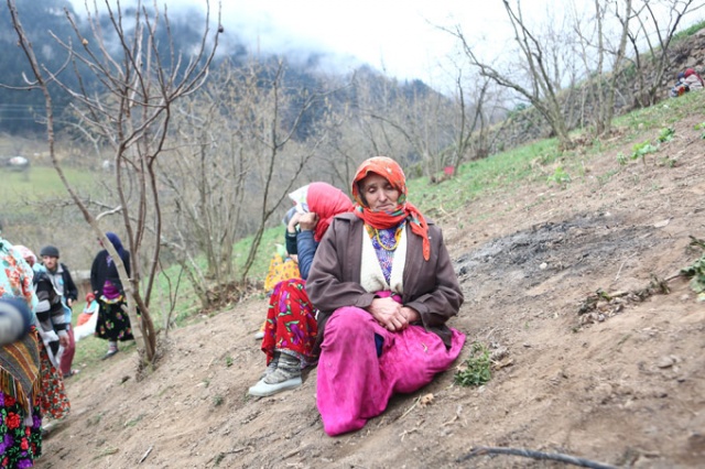 Araklı'da 7 ev yanmıştı, bölgede son durum 22