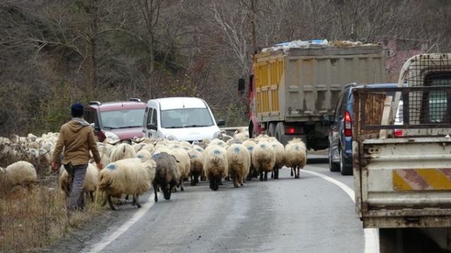 Yaylalardan köylere dönüşler başladı 7