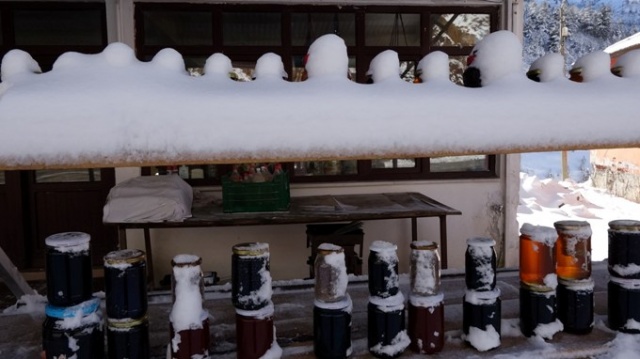 Zigana beyaza büründü, seyirlik manzaralar oluştu. 15 Ocak 2021 14