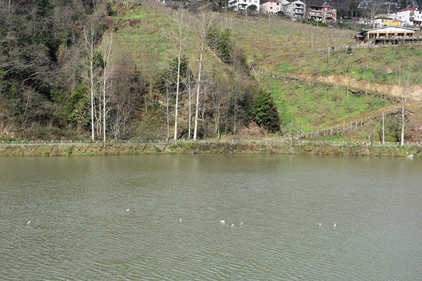 Trabzon'da sessizlik hakim 9