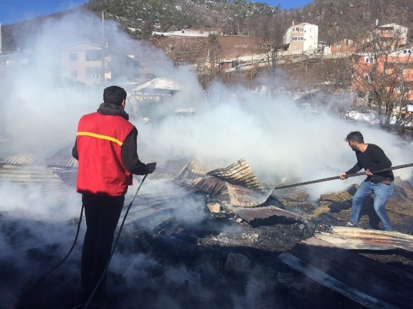 Artvin’de ahır yangınında 27 küçükbaş hayvan telef oldu 2