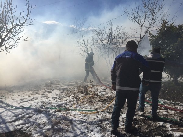 Artvin’de ahır yangınında 27 küçükbaş hayvan telef oldu 6