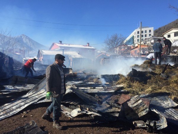 Artvin’de ahır yangınında 27 küçükbaş hayvan telef oldu 4