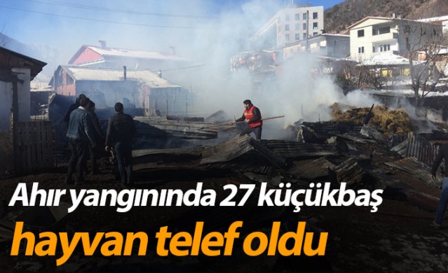 Artvin’de ahır yangınında 27 küçükbaş hayvan telef oldu 1