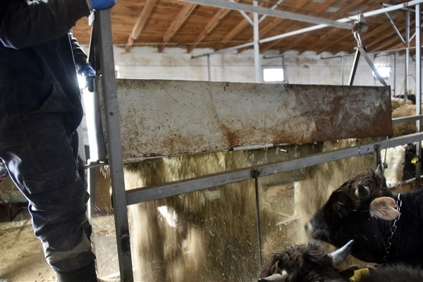 Emekli Vali şoförü icatlarına devam ediyor 14