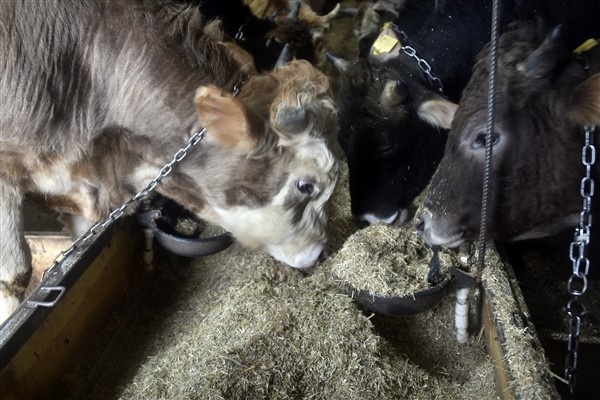 Emekli Vali şoförü icatlarına devam ediyor 10