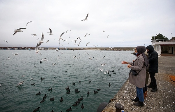 Trabzon'da balıkçılara rüzgar engeli 4
