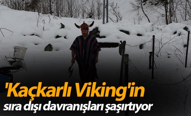 'Kaçkarlı Viking'in sıra dışı davranışları şaşırtıyor 1