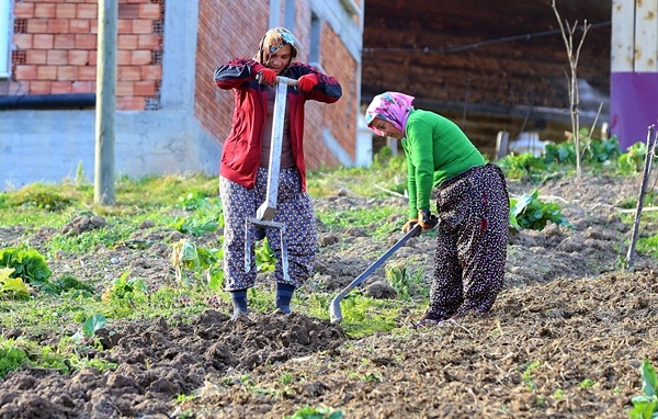 Trabzon'da sıcak havayı gören tarlaya indi 6