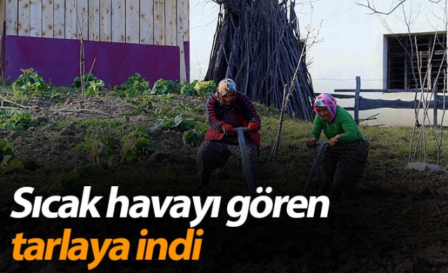 Trabzon'da sıcak havayı gören tarlaya indi 1