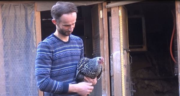Trabzon'da süs tavuğu hobisi kazanca dönüştü 5