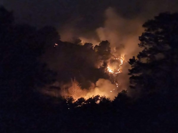 Doğu Karadeniz'de orman yangınları neden çıkıyor? 9