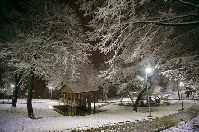 Trabzon'da kar yağışı etkili oluyor. 16 Şubat 2021 9