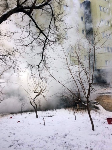 Gümüşhane’de yanan barakada alevlerin arasına girip köpeği kurtardı 12