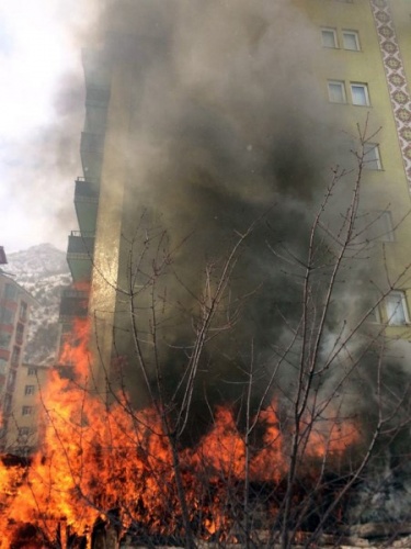 Gümüşhane’de yanan barakada alevlerin arasına girip köpeği kurtardı 5