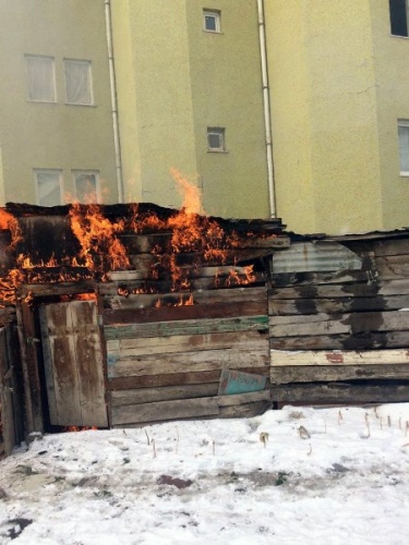 Gümüşhane’de yanan barakada alevlerin arasına girip köpeği kurtardı 9