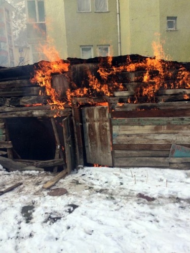 Gümüşhane’de yanan barakada alevlerin arasına girip köpeği kurtardı 6