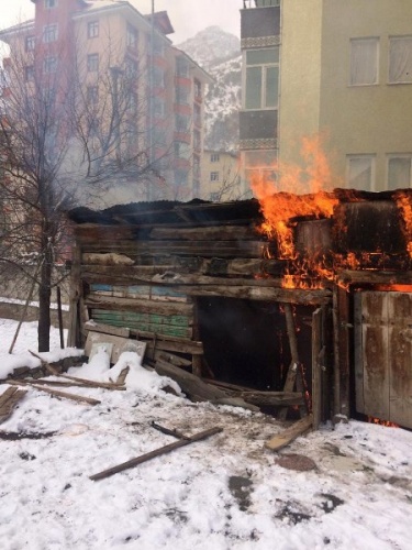 Gümüşhane’de yanan barakada alevlerin arasına girip köpeği kurtardı 13