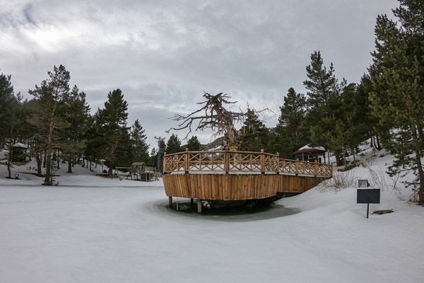 Zigana'dan Limni'ye adrenalin yolculuğu 6