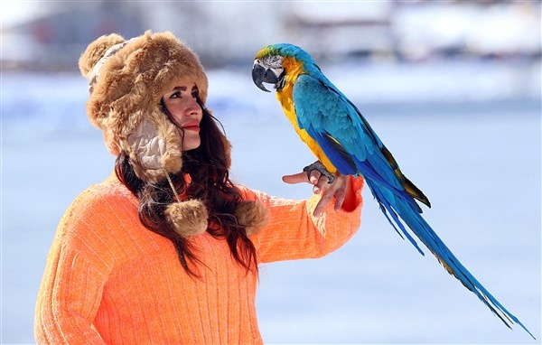 Trabzon'da buz tutan Uzungöl'e ziyaretçi akını 2