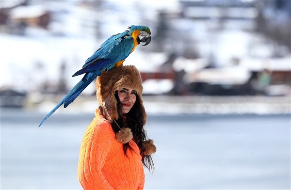 Trabzon'da buz tutan Uzungöl'e ziyaretçi akını 4