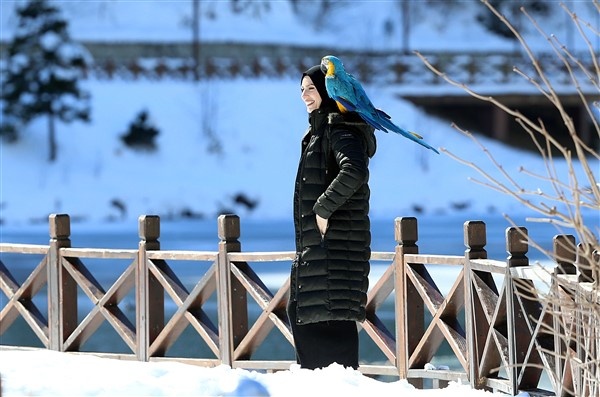 Trabzon'da buz tutan Uzungöl'e ziyaretçi akını 22