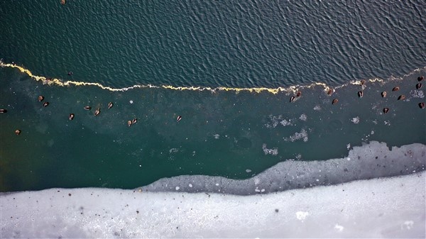 Trabzon'da buz tutan Uzungöl'e ziyaretçi akını 9