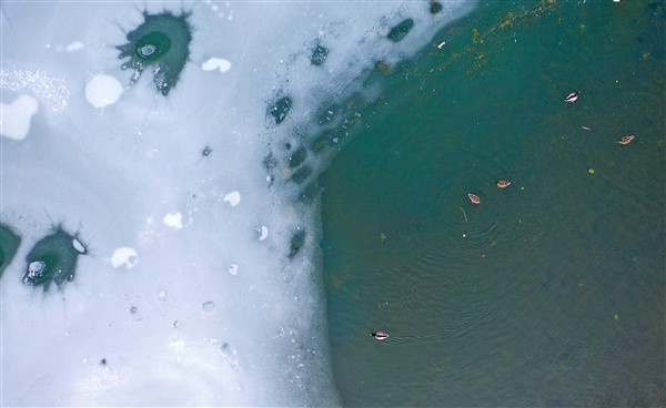 Trabzon'da buz tutan Uzungöl'e ziyaretçi akını 5