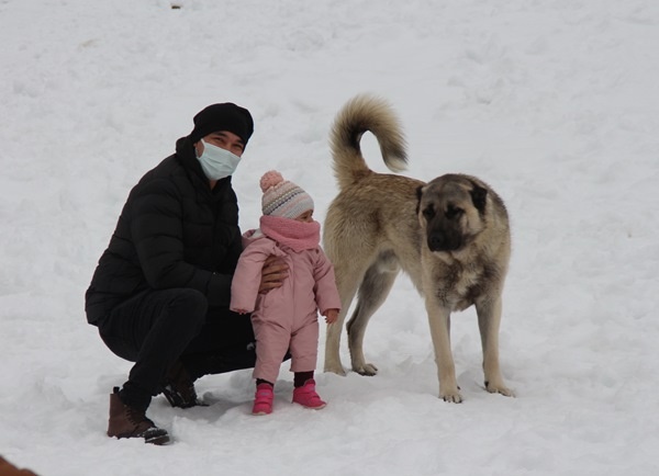Ayder Yaylası’nda pandemi sessizliği 5