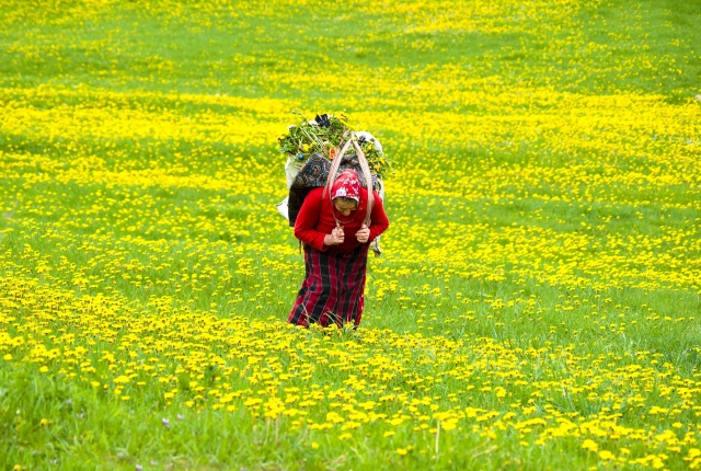 Trabzon'un çalışkan kadınları pandemide de tempo düşürmüyor 9