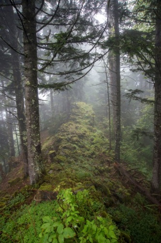 Trabzon'da bir tarihi keşif daha 5