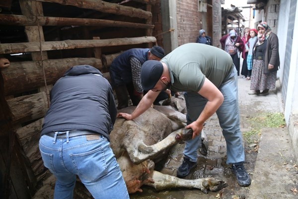 Artvin'deki yangında son durum! Yangın bu köyün kaderi 10