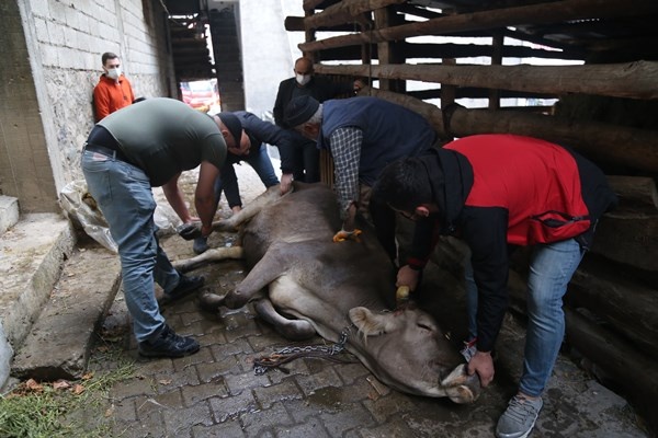 Artvin'deki yangında son durum! Yangın bu köyün kaderi 4
