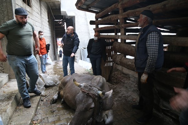 Artvin'deki yangında son durum! Yangın bu köyün kaderi 5