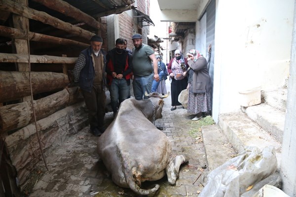 Artvin'deki yangında son durum! Yangın bu köyün kaderi 6