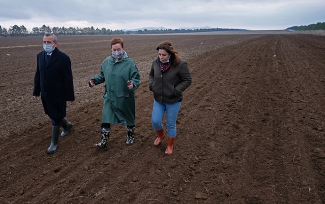 Susuz tarımda 'Sorgül' buğdayı dönemi 6