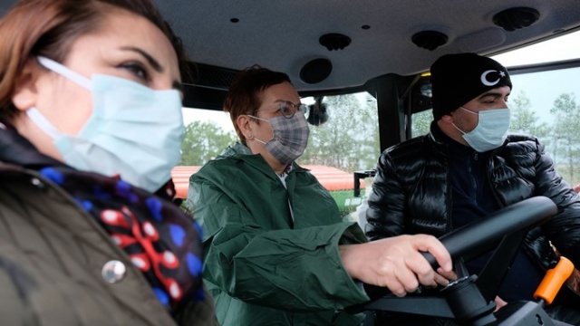 Susuz tarımda 'Sorgül' buğdayı dönemi 4