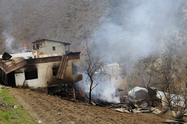 Artvin Ortaköy'deki yangının yaraları sarılıyor 9