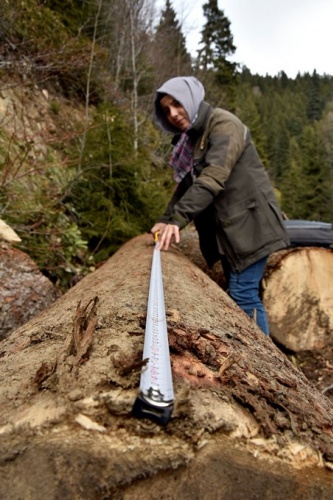 Gümüşhane'nin kadın orman muhafaza memurları görev başında! 7