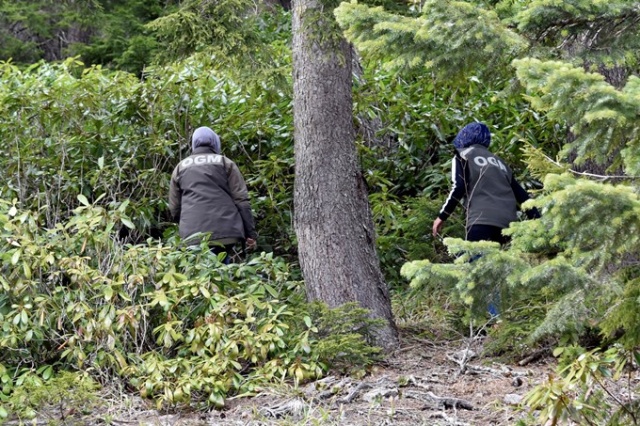 Gümüşhane'nin kadın orman muhafaza memurları görev başında! 12