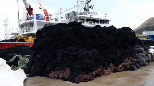 Karadenizli balıkçılar av sezonunu kapattı, ağlarını bakıma aldı 2