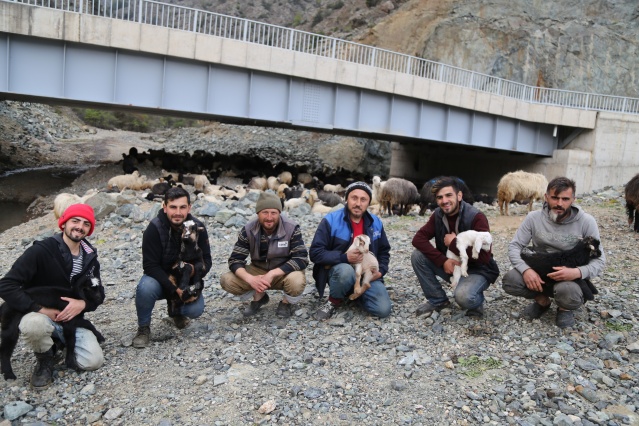Artvin'de yayla göçü başladı. 20 Nisan 2021 8