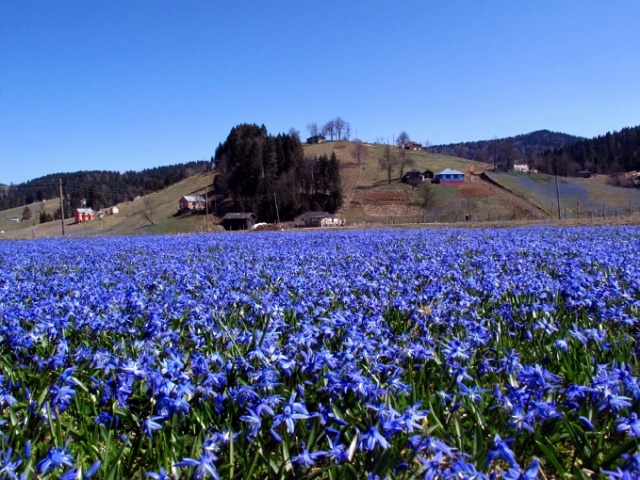 Kadıralak Yaylası'nın koruma statüsü değişikliğine iptal kararı 10