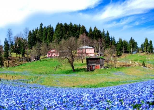 Kadıralak Yaylası'nın koruma statüsü değişikliğine iptal kararı 5